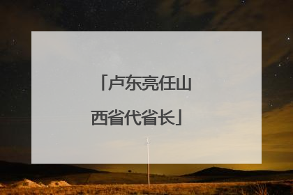 卢东亮任山西省代省长