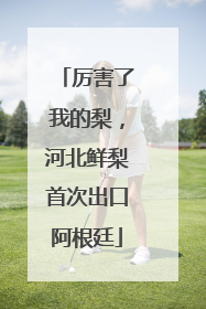 厉害了我的梨，河北鲜梨首次出口阿根廷