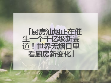 厨房油烟正在催生一个千亿级新赛道！世界无烟日里看厨房新变化