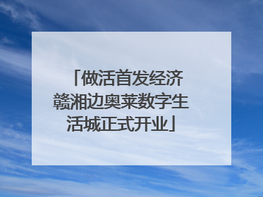 做活首发经济 赣湘边奥莱数字生活城正式开业