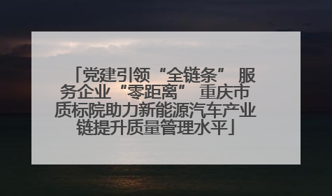 党建引领“全链条” 服务企业“零距离” 重庆市质标院助力新能源汽车产业链提升质量管理水平