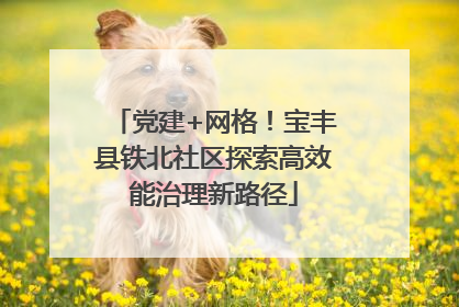 党建+网格！宝丰县铁北社区探索高效能治理新路径