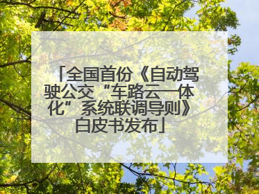 全国首份《自动驾驶公交“车路云一体化”系统联调导则》白皮书发布