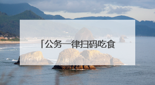 公务一律扫码吃食堂，潜江市130家食堂“一码通刷”