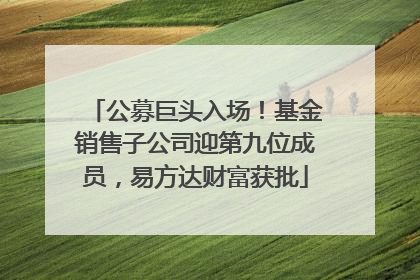 公募巨头入场！基金销售子公司迎第九位成员，易方达财富获批