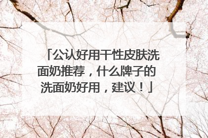 公认好用干性皮肤洗面奶推荐，什么牌子的洗面奶好用，建议！