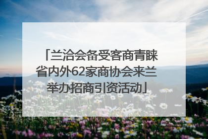 兰洽会备受客商青睐 省内外62家商协会来兰举办招商引资活动