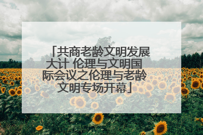 共商老龄文明发展大计 伦理与文明国际会议之伦理与老龄文明专场开幕