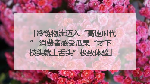 冷链物流迈入“高速时代” 消费者感受瓜果“才下枝头就上舌头”极致体验