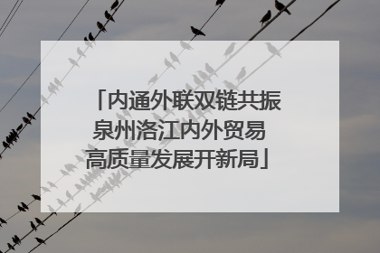 内通外联双链共振 泉州洛江内外贸易高质量发展开新局
