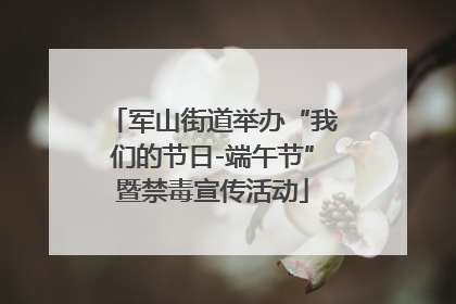 军山街道举办“我们的节日-端午节”暨禁毒宣传活动