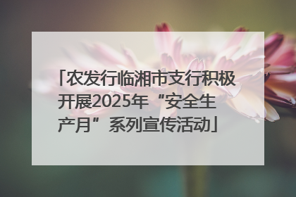 农发行临湘市支行积极开展2025年“安全生产月”系列宣传活动