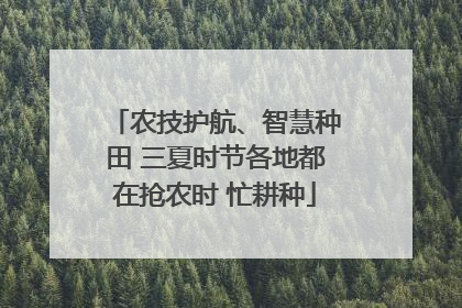 农技护航、智慧种田 三夏时节各地都在抢农时 忙耕种