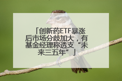 创新药ETF暴涨后市场分歧加大，有基金经理称透支“未来三五年”