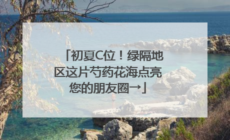 初夏C位！绿隔地区这片芍药花海点亮您的朋友圈→