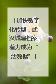 加快数字化转型，武汉城建档案着力成为“活数据”