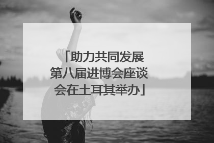 助力共同发展 第八届进博会座谈会在土耳其举办