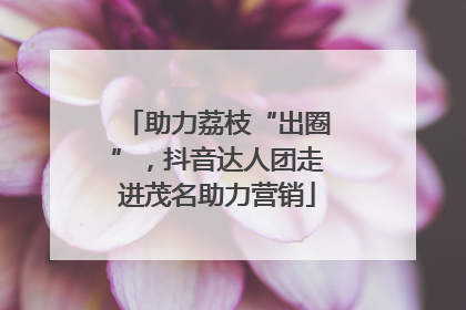 助力荔枝“出圈”，抖音达人团走进茂名助力营销