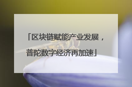 区块链赋能产业发展，普陀数字经济再加速