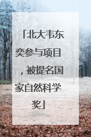 北大韦东奕参与项目，被提名国家自然科学奖