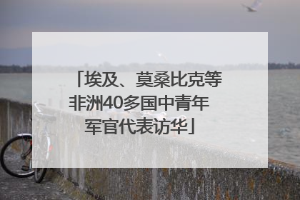 埃及、莫桑比克等非洲40多国中青年军官代表访华