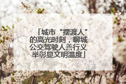 城市“摆渡人”的高光时刻，聊城公交驾驶人善行义举彰显文明温度