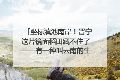 坐标滇池南岸！晋宁这片镜面稻田藏不住了——有一种叫云南的生活之365天