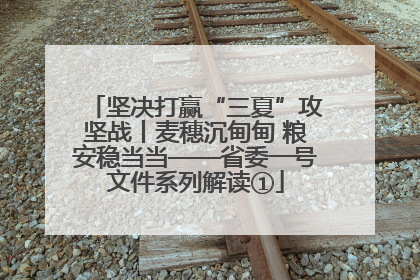 坚决打赢“三夏”攻坚战丨麦穗沉甸甸 粮安稳当当——省委一号文件系列解读①