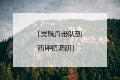 吴毓舟带队到西坪镇调研