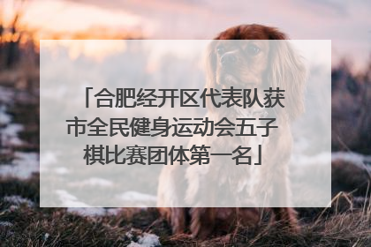 合肥经开区代表队获市全民健身运动会五子棋比赛团体第一名