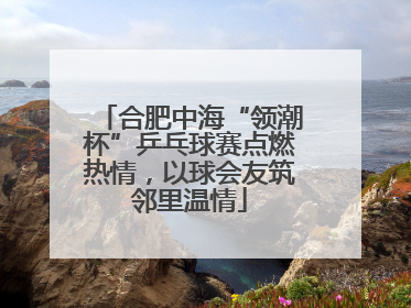 合肥中海“领潮杯”乒乓球赛点燃热情，以球会友筑邻里温情