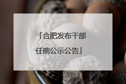 合肥发布干部任前公示公告