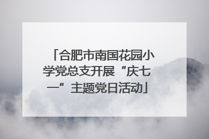 合肥市南国花园小学党总支开展“庆七一”主题党日活动