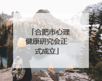 合肥市心理健康研究会正式成立