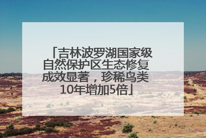 吉林波罗湖国家级自然保护区生态修复成效显著，珍稀鸟类10年增加5倍