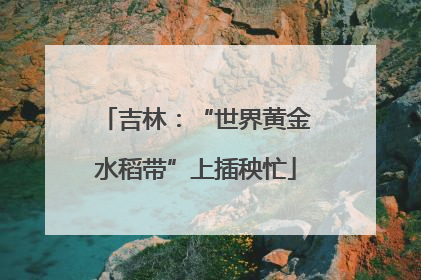 吉林：“世界黄金水稻带”上插秧忙