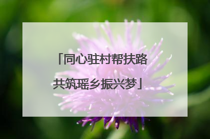同心驻村帮扶路 共筑瑶乡振兴梦