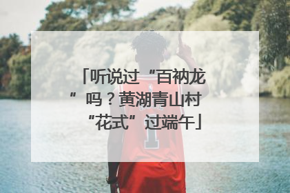 听说过“百衲龙”吗？黄湖青山村“花式”过端午