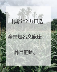 咸宁全力打造全国知名文旅康养目的地