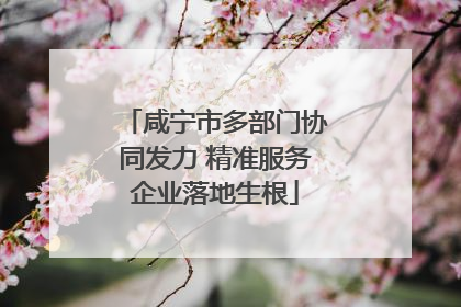 咸宁市多部门协同发力 精准服务企业落地生根