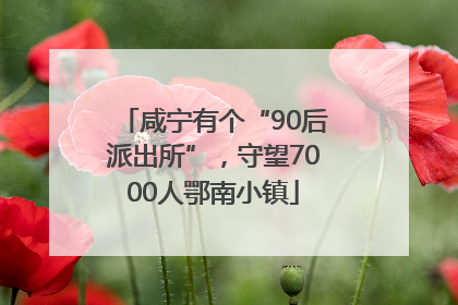 咸宁有个“90后派出所”，守望7000人鄂南小镇