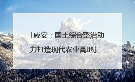 咸安：国土综合整治助力打造现代农业高地