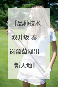 品种技术双升级 秦岗葡萄闯出新天地