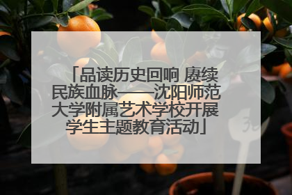 品读历史回响 赓续民族血脉——沈阳师范大学附属艺术学校开展学生主题教育活动