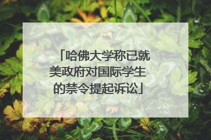 哈佛大学称已就美政府对国际学生的禁令提起诉讼
