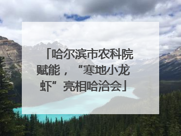 哈尔滨市农科院赋能，“寒地小龙虾”亮相哈洽会