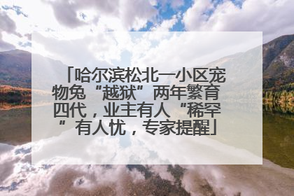 哈尔滨松北一小区宠物兔“越狱”两年繁育四代，业主有人“稀罕”有人忧，专家提醒