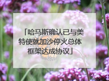 哈马斯确认已与美特使就加沙停火总体框架达成协议
