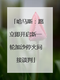 哈马斯：愿立即开启新一轮加沙停火间接谈判