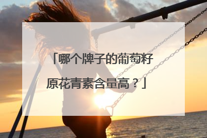 哪个牌子的葡萄籽原花青素含量高？